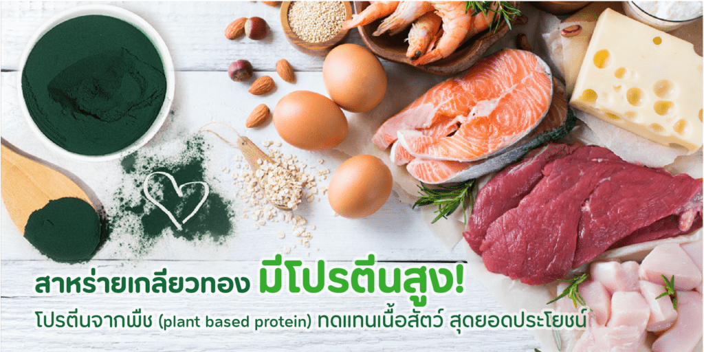 Spirulina high Protein